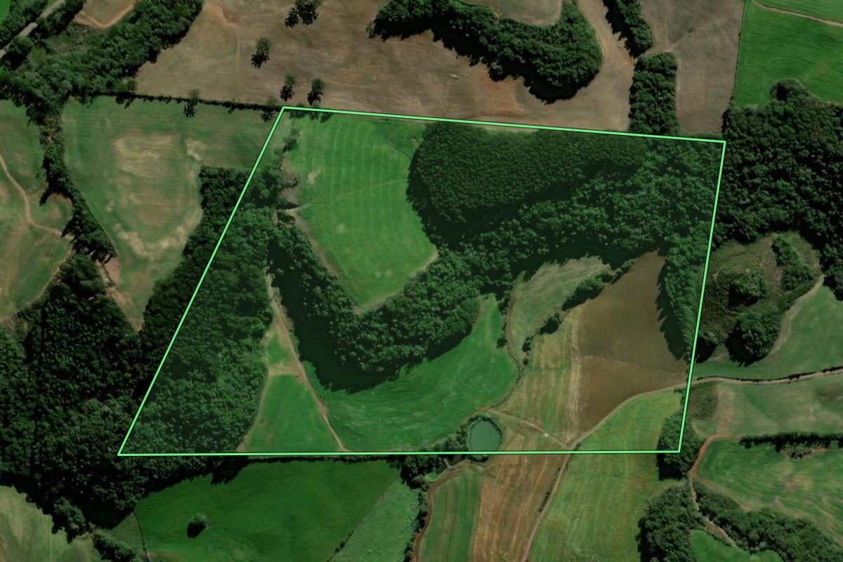 Imagem de satélite do imóvel rural em Ciríaco (RS), com o contorno declarado no CAR desenhado por cima.