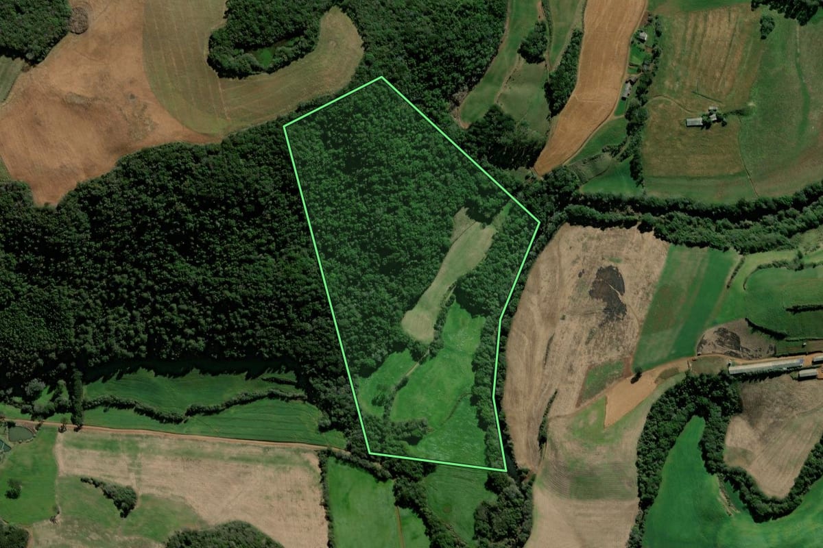 Imagem de satélite do imóvel rural em Ciríaco (RS), com o contorno declarado no CAR desenhado por cima.