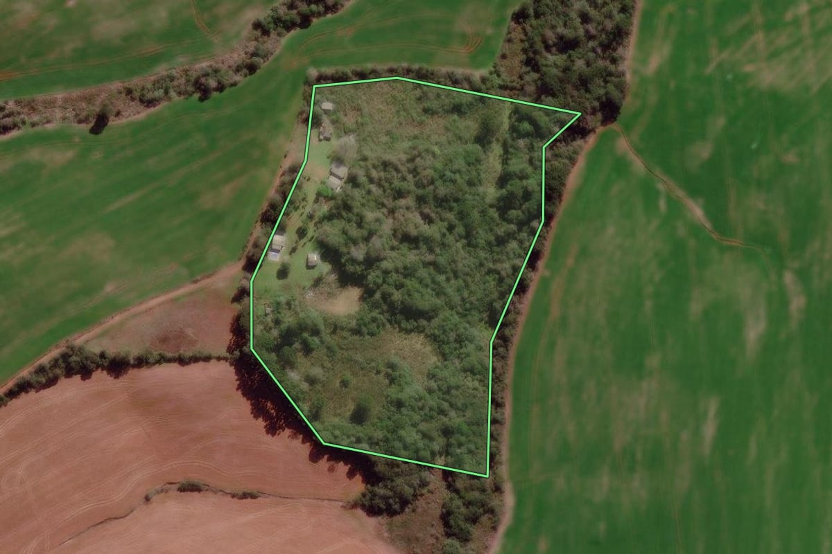 Imagem de satélite do imóvel rural em Ciríaco (RS), com o contorno declarado no CAR desenhado por cima.
