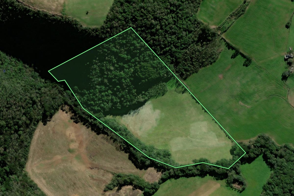 Imagem de satélite do imóvel rural em Ciríaco (RS), com o contorno declarado no CAR desenhado por cima.