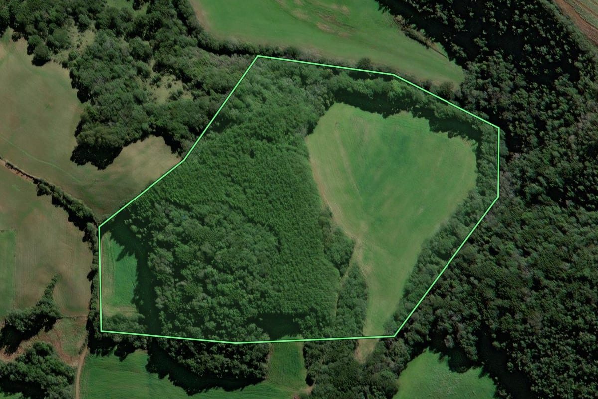 Imagem de satélite do imóvel rural em Ciríaco (RS), com o contorno declarado no CAR desenhado por cima.