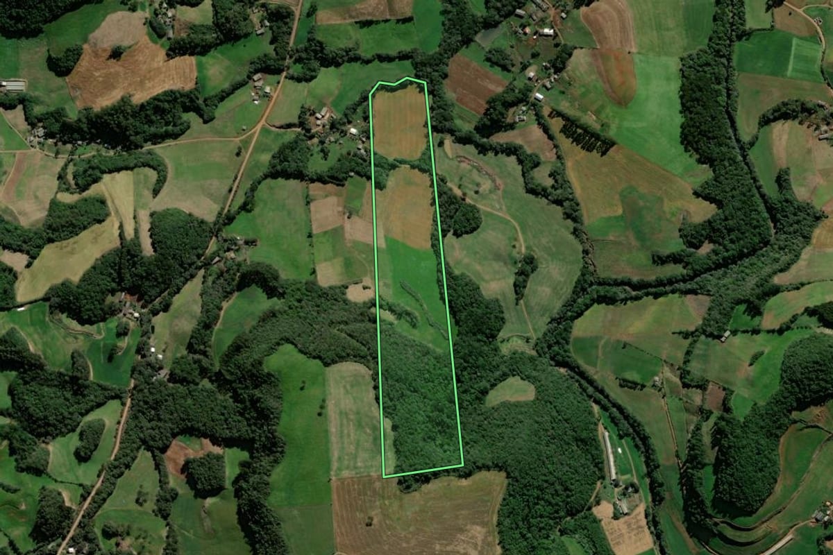 Imagem de satélite do imóvel rural em Ciríaco (RS), com o contorno declarado no CAR desenhado por cima.