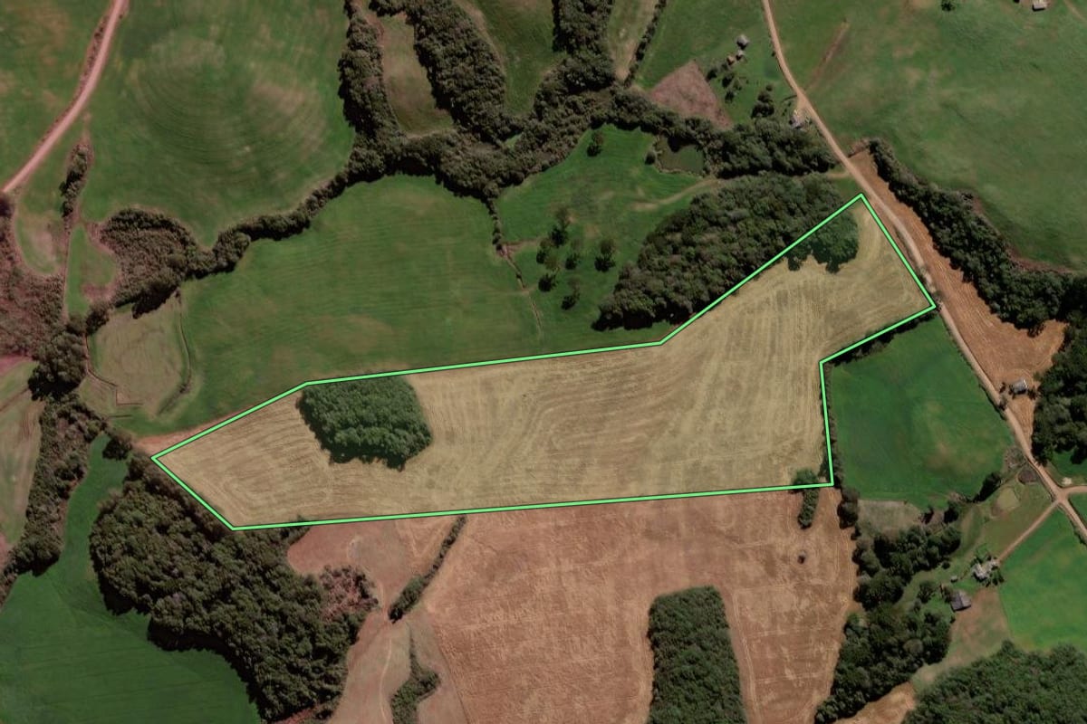 Imagem de satélite do imóvel rural em Ciríaco (RS), com o contorno declarado no CAR desenhado por cima.