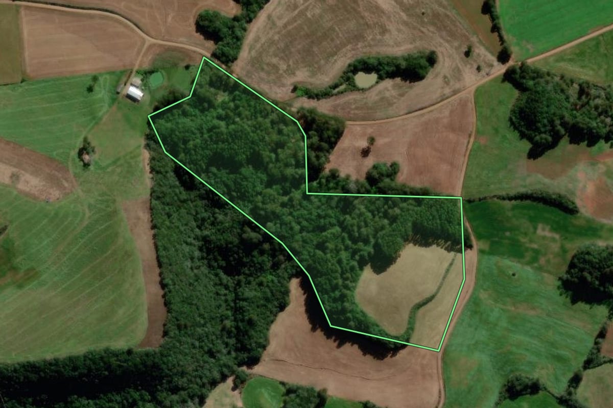 Imagem de satélite do imóvel rural em Ciríaco (RS), com o contorno declarado no CAR desenhado por cima.