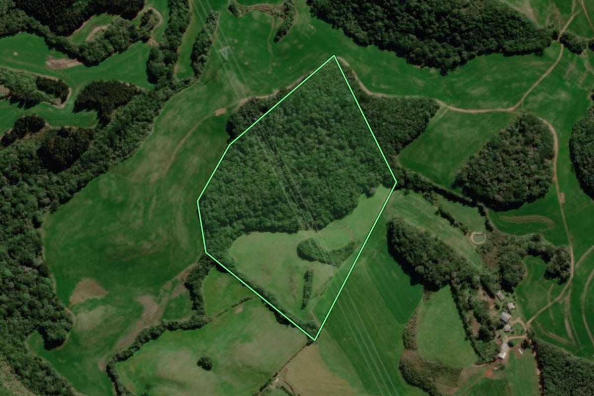 Imagem de satélite do imóvel rural em Ciríaco (RS), com o contorno declarado no CAR desenhado por cima.