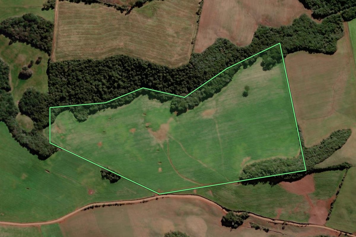 Imagem de satélite do imóvel rural em Ciríaco (RS), com o contorno declarado no CAR desenhado por cima.