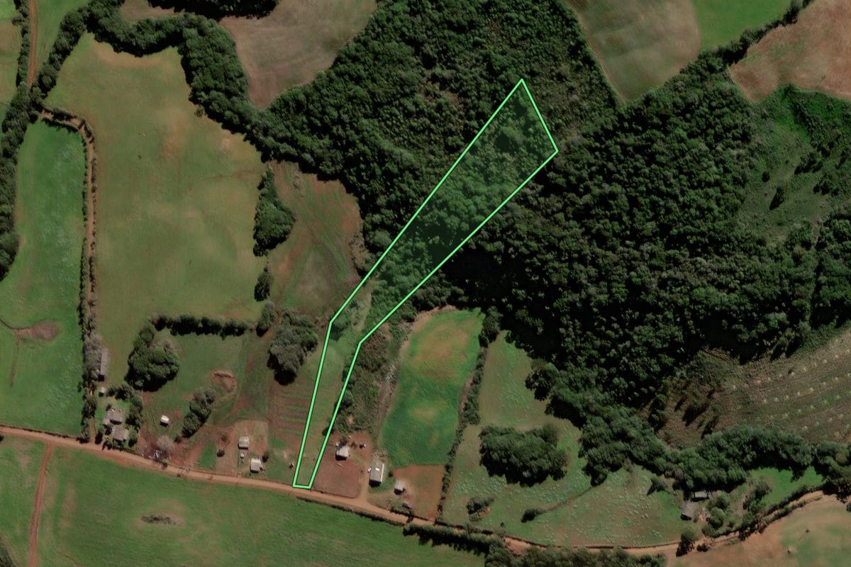 Imagem de satélite do imóvel rural em Ciríaco (RS), com o contorno declarado no CAR desenhado por cima.