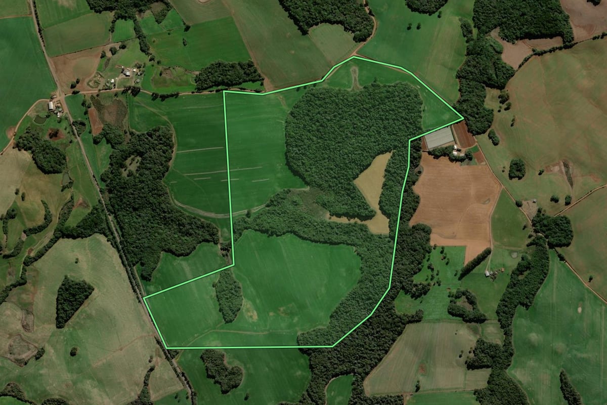 Imagem de satélite do imóvel rural em Ciríaco (RS), com o contorno declarado no CAR desenhado por cima.