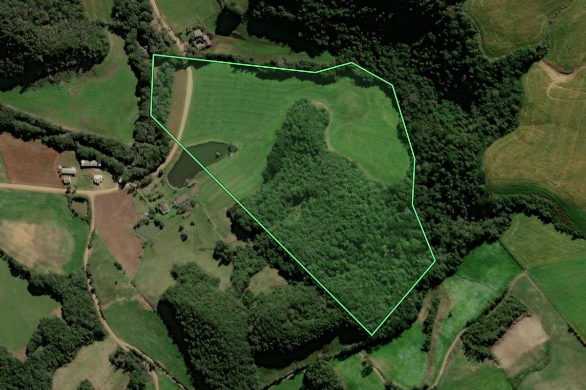 Imagem de satélite do imóvel rural em Ciríaco (RS), com o contorno declarado no CAR desenhado por cima.