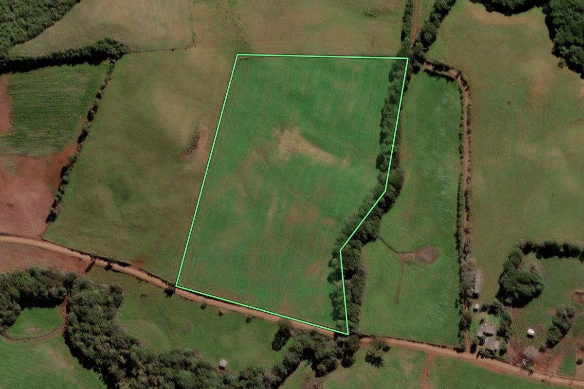 Imagem de satélite do imóvel rural em Ciríaco (RS), com o contorno declarado no CAR desenhado por cima.