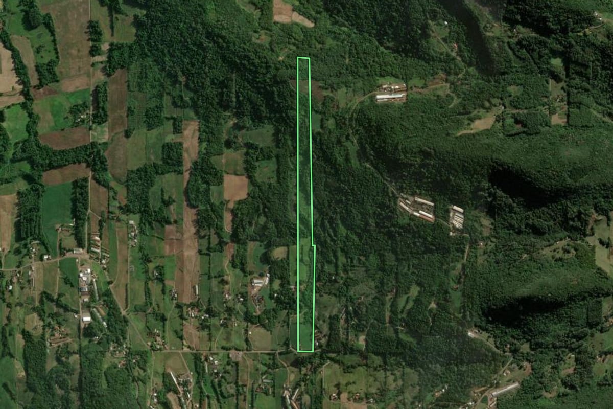 Imagem de satélite do imóvel rural em Colinas (RS), com o contorno declarado no CAR desenhado por cima.