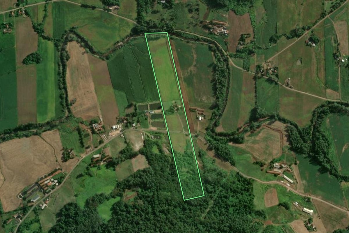 Imagem de satélite do imóvel rural em Colinas (RS), com o contorno declarado no CAR desenhado por cima.
