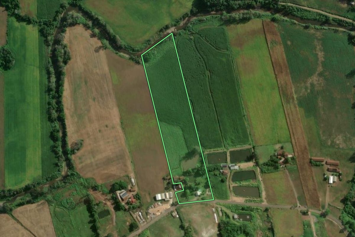 Imagem de satélite do imóvel rural em Colinas (RS), com o contorno declarado no CAR desenhado por cima.