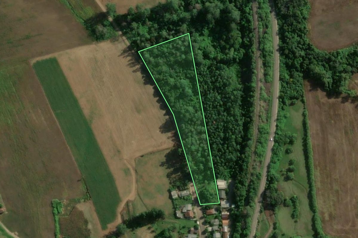 Imagem de satélite do imóvel rural em Colinas (RS), com o contorno declarado no CAR desenhado por cima.