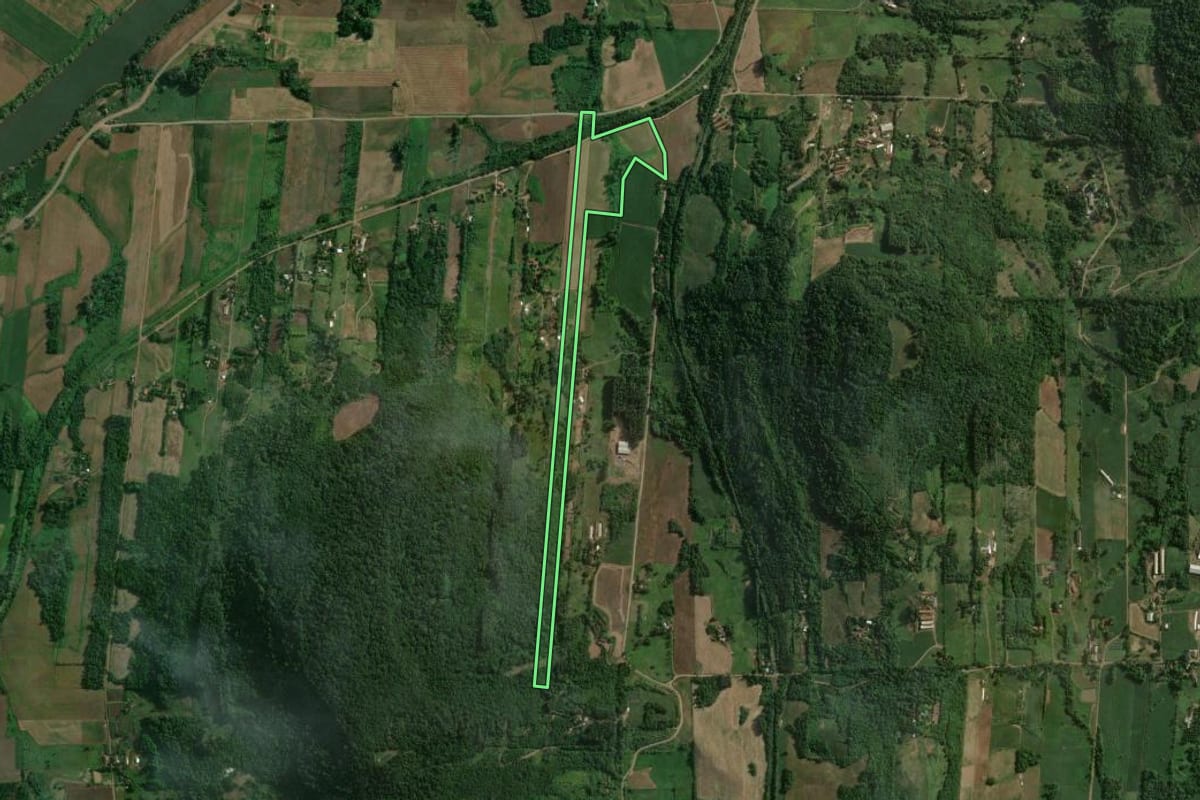Imagem de satélite do imóvel rural em Colinas (RS), com o contorno declarado no CAR desenhado por cima.