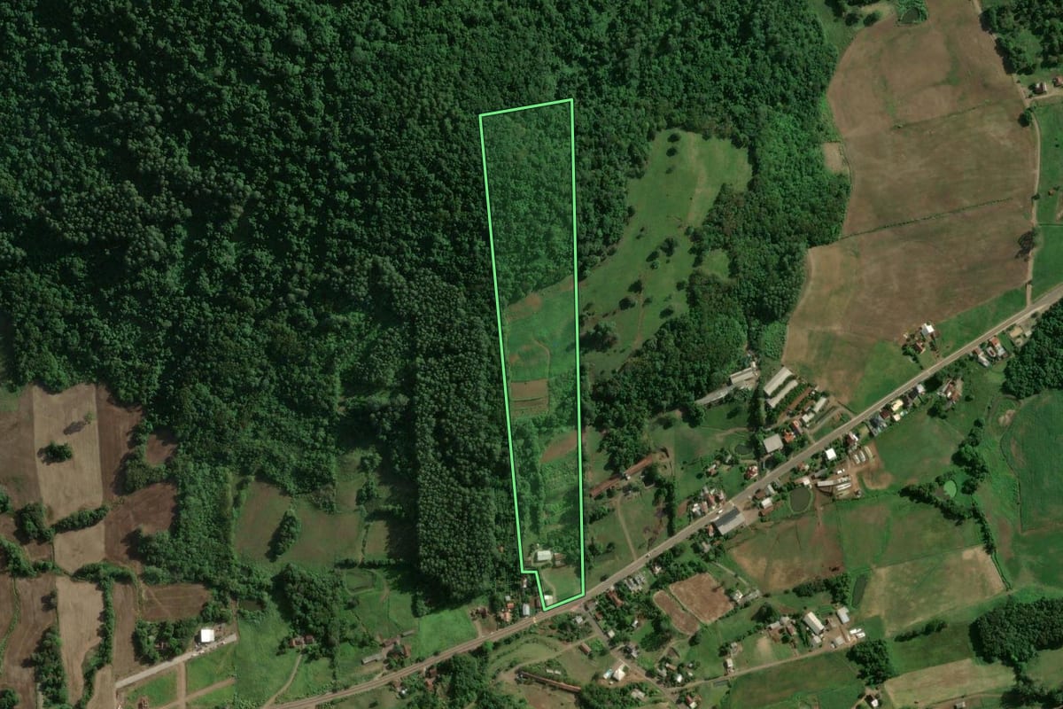 Imagem de satélite do imóvel rural em Colinas (RS), com o contorno declarado no CAR desenhado por cima.