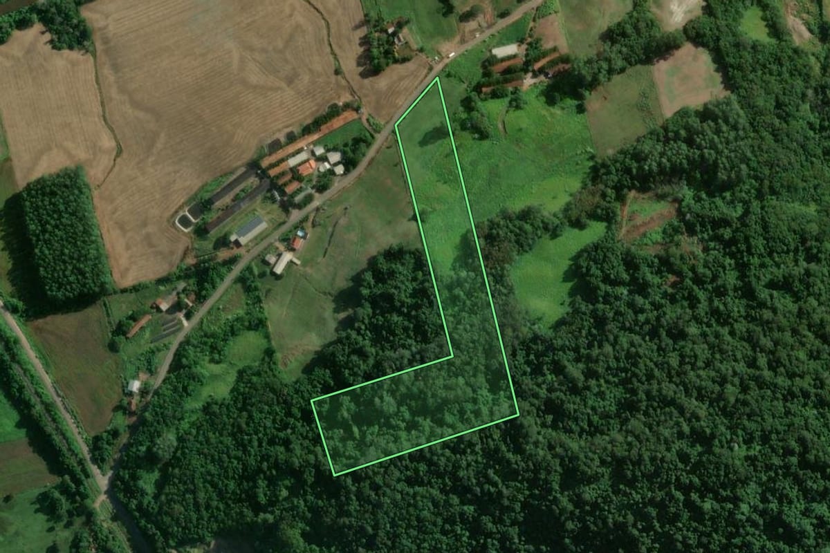 Imagem de satélite do imóvel rural em Colinas (RS), com o contorno declarado no CAR desenhado por cima.