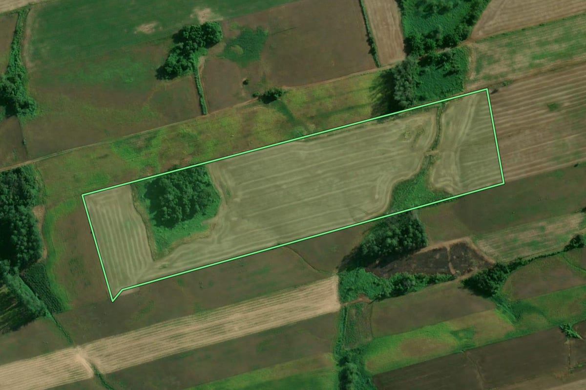 Imagem de satélite do imóvel rural em Colinas (RS), com o contorno declarado no CAR desenhado por cima.