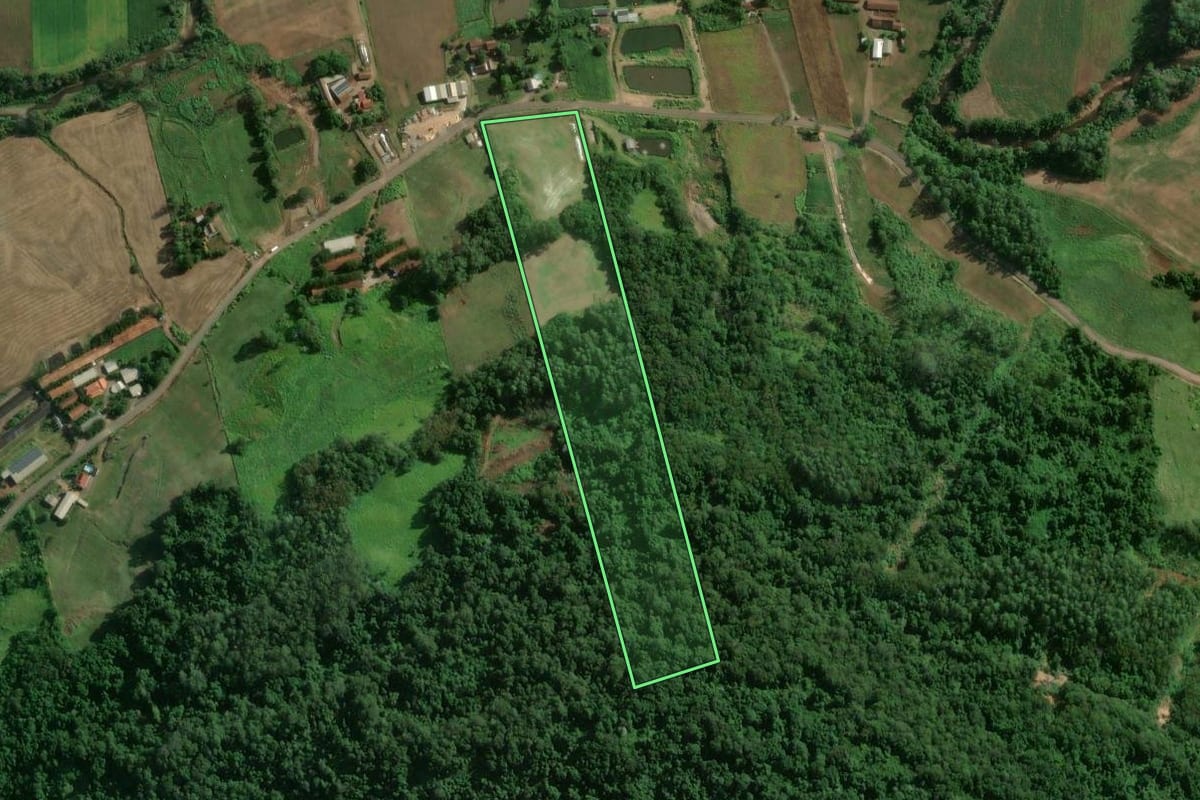 Imagem de satélite do imóvel rural em Colinas (RS), com o contorno declarado no CAR desenhado por cima.