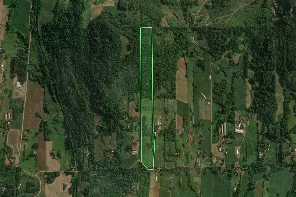 Imagem de satélite do imóvel rural em Colinas (RS), com o contorno declarado no CAR desenhado por cima.