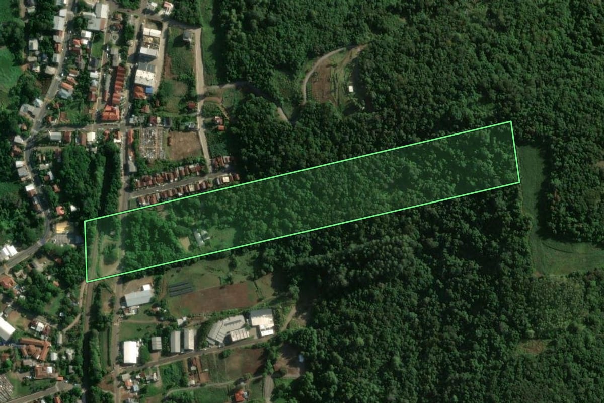 Imagem de satélite do imóvel rural em Colinas (RS), com o contorno declarado no CAR desenhado por cima.