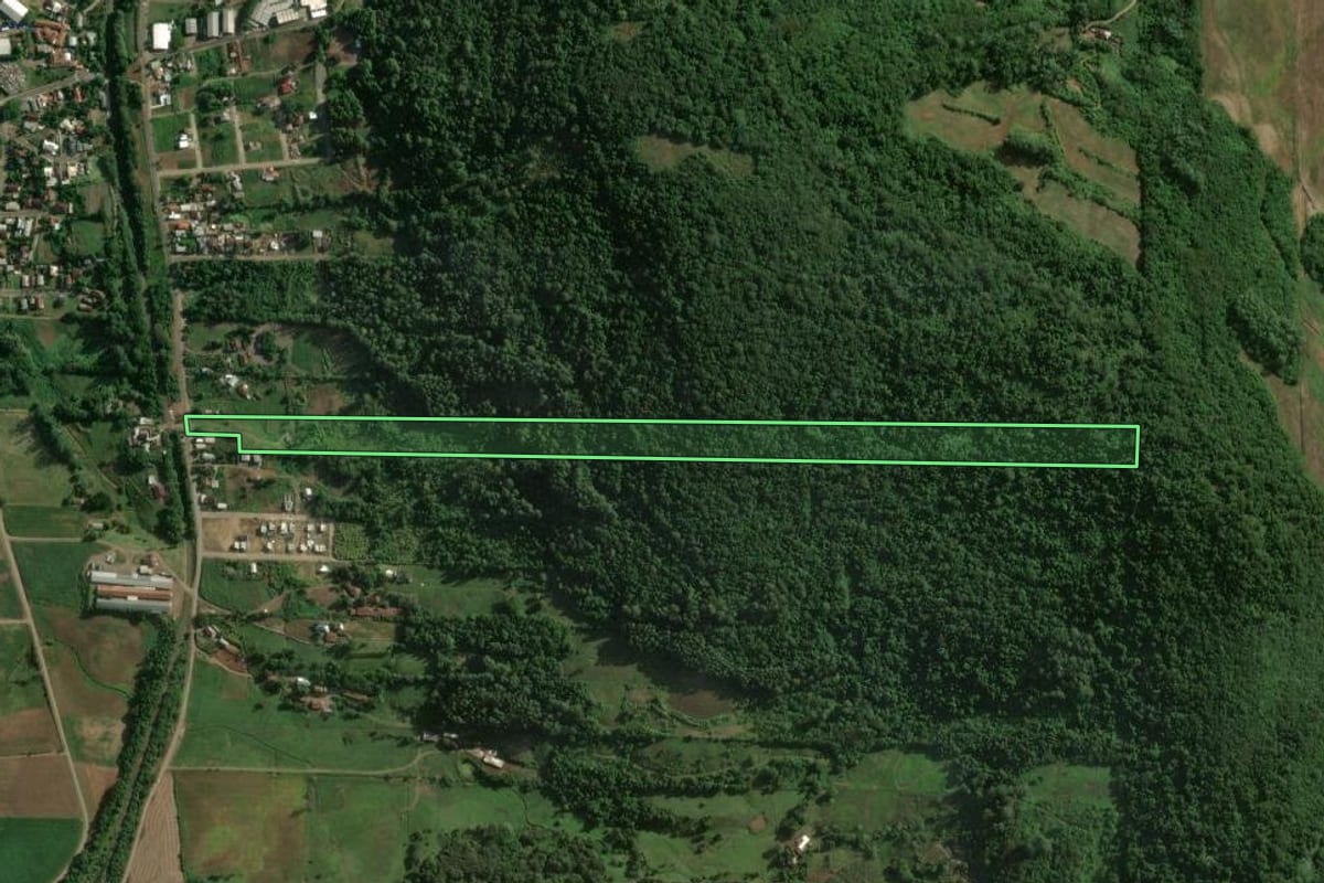 Imagem de satélite do imóvel rural em Colinas (RS), com o contorno declarado no CAR desenhado por cima.