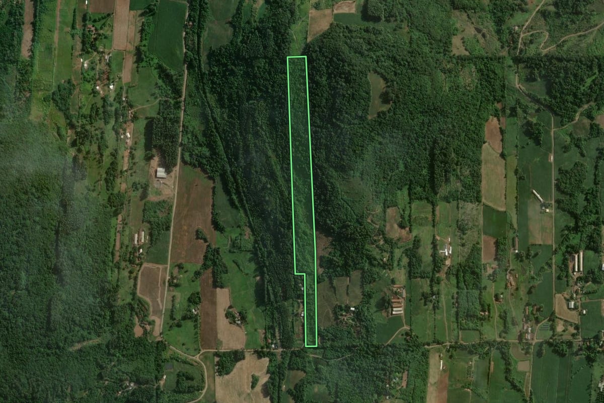 Imagem de satélite do imóvel rural em Colinas (RS), com o contorno declarado no CAR desenhado por cima.