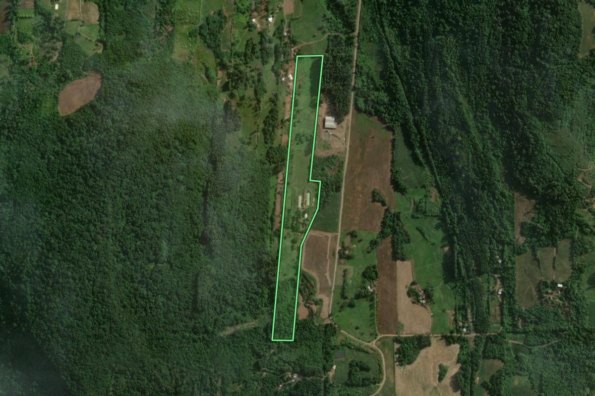 Imagem de satélite do imóvel rural em Colinas (RS), com o contorno declarado no CAR desenhado por cima.
