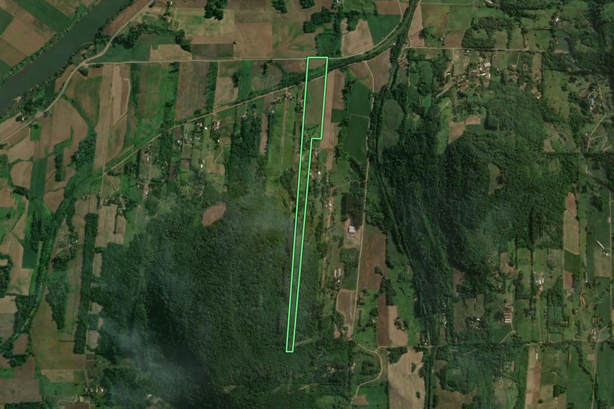 Imagem de satélite do imóvel rural em Colinas (RS), com o contorno declarado no CAR desenhado por cima.