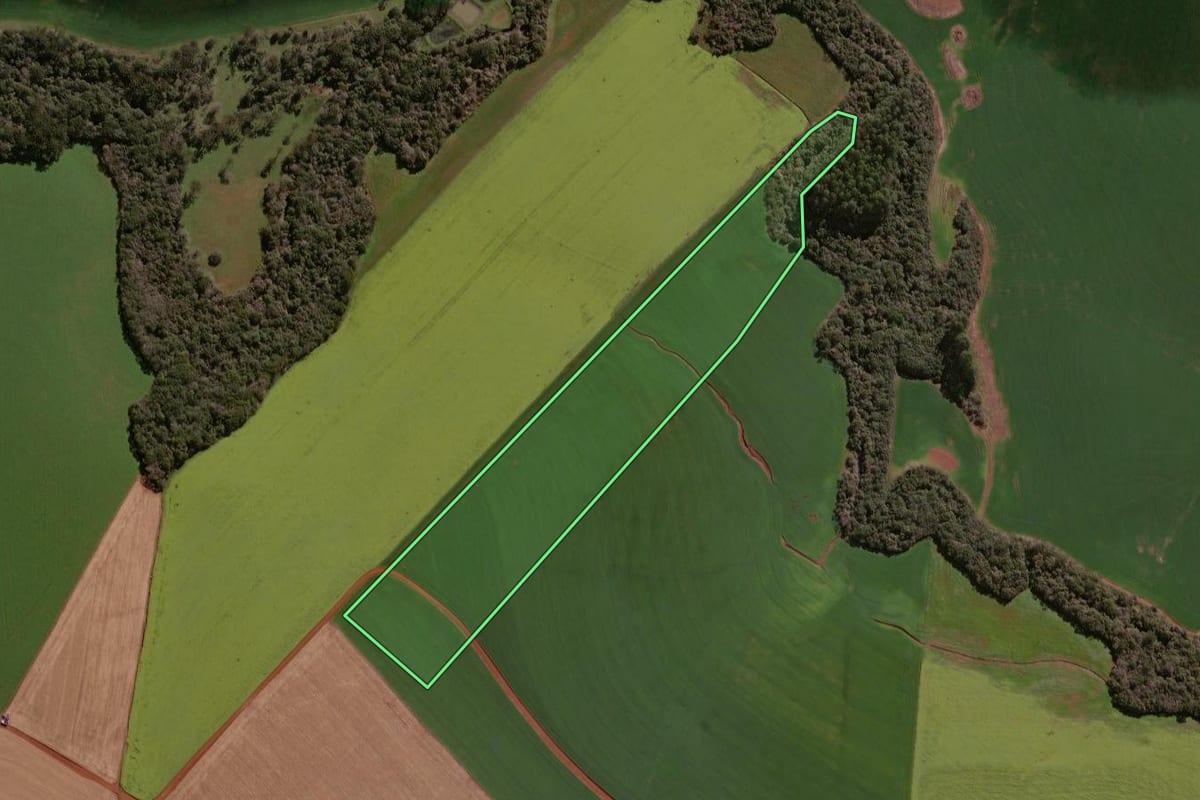 Imagem de satélite do imóvel rural em Colorado (RS), com o contorno declarado no CAR desenhado por cima.