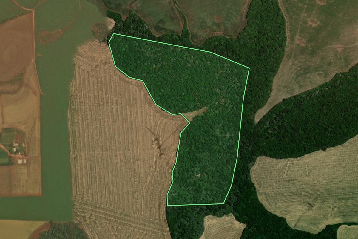 Imagem de satélite do imóvel rural em Colorado (RS), com o contorno declarado no CAR desenhado por cima.
