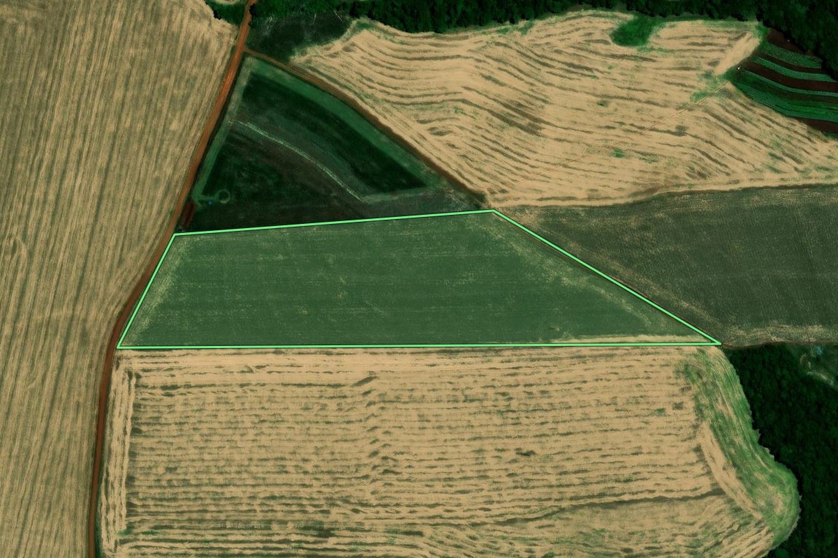 Imagem de satélite do imóvel rural em Colorado (RS), com o contorno declarado no CAR desenhado por cima.