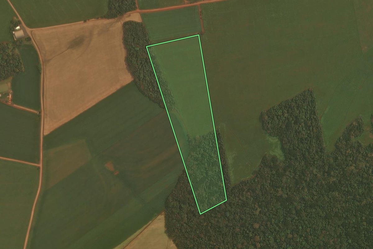 Imagem de satélite do imóvel rural em Colorado (RS), com o contorno declarado no CAR desenhado por cima.
