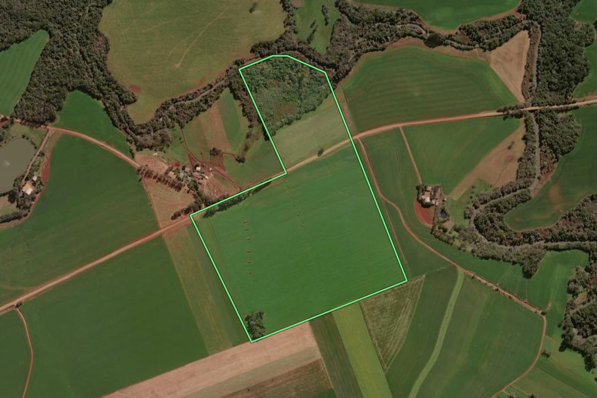 Imagem de satélite do imóvel rural em Colorado (RS), com o contorno declarado no CAR desenhado por cima.