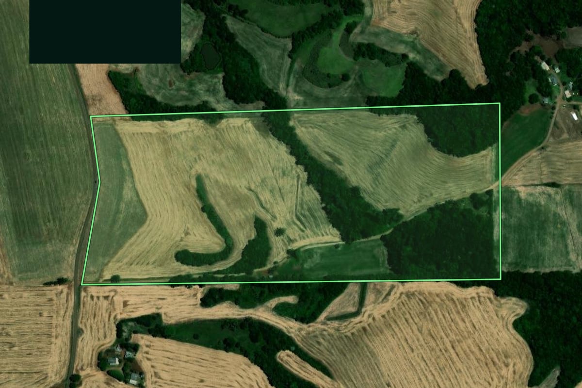 Imagem de satélite do imóvel rural em Colorado (RS), com o contorno declarado no CAR desenhado por cima.