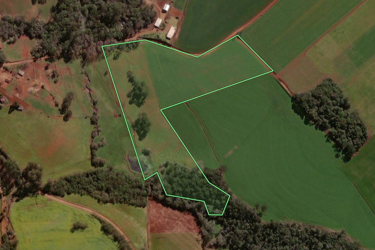 Imagem de satélite do imóvel rural em Colorado (RS), com o contorno declarado no CAR desenhado por cima.