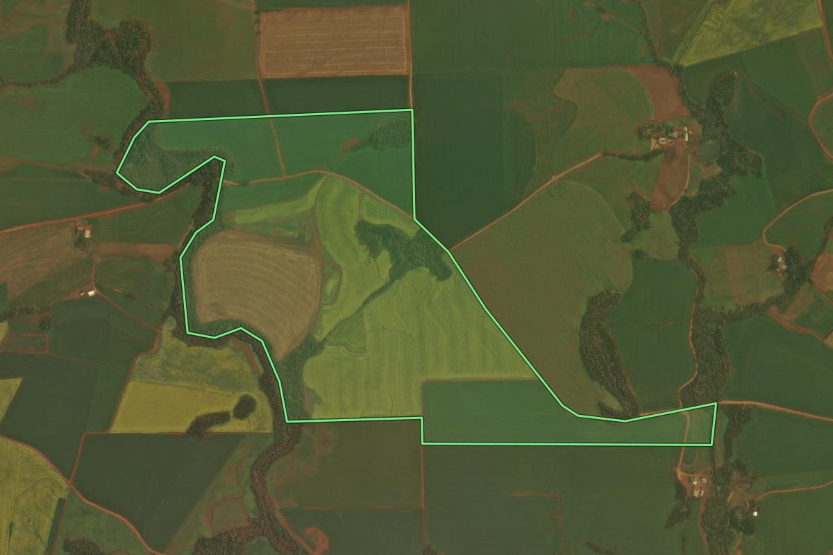 Imagem de satélite do imóvel rural em Colorado (RS), com o contorno declarado no CAR desenhado por cima.