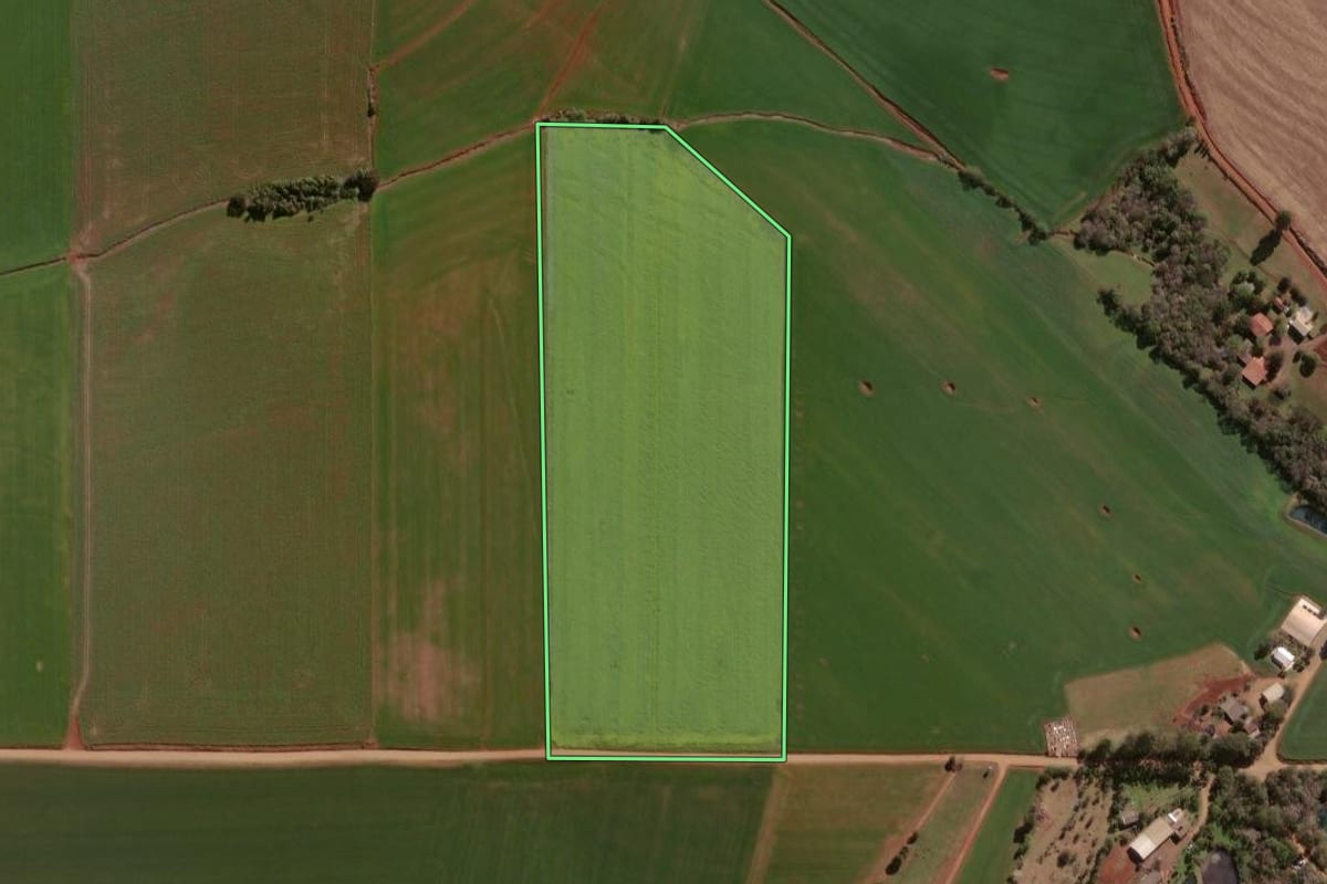 Imagem de satélite do imóvel rural em Colorado (RS), com o contorno declarado no CAR desenhado por cima.