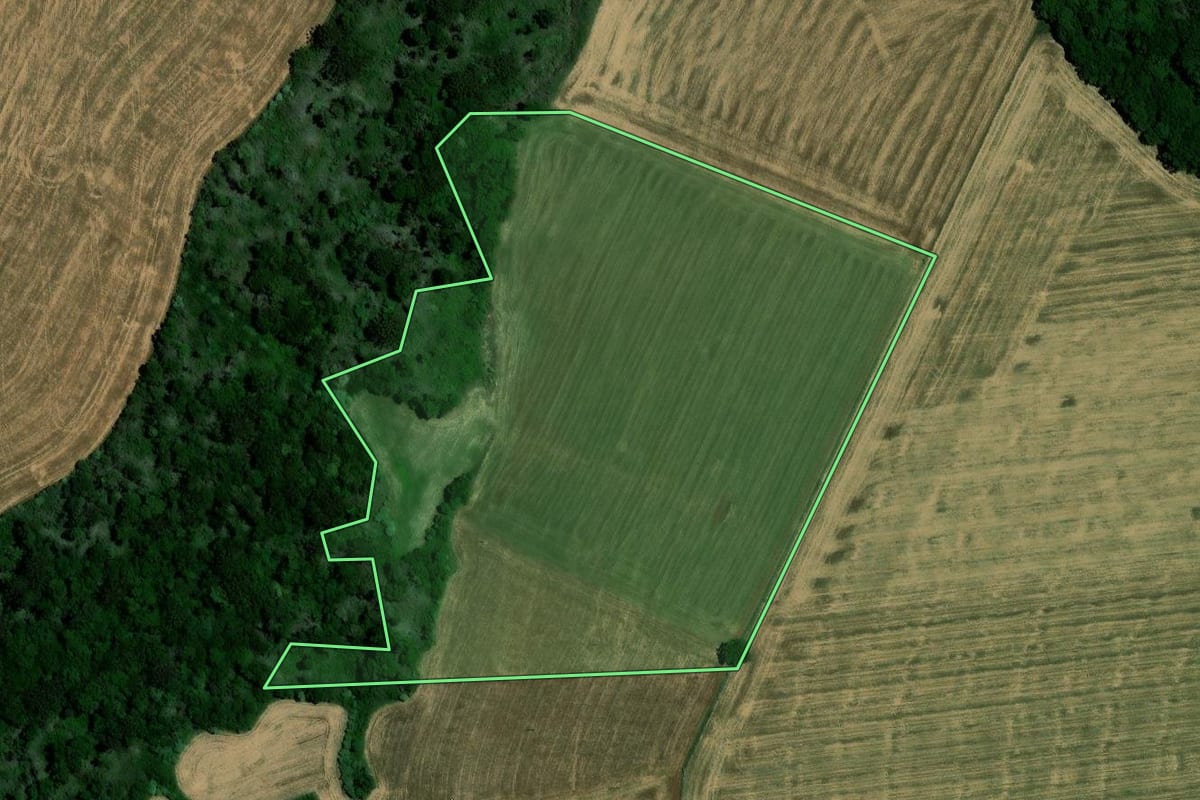 Imagem de satélite do imóvel rural em Colorado (RS), com o contorno declarado no CAR desenhado por cima.