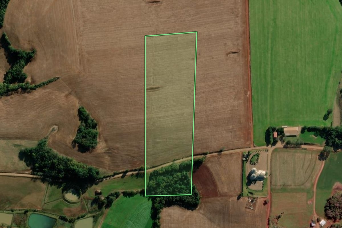 Imagem de satélite do imóvel rural em Condor (RS), com o contorno declarado no CAR desenhado por cima.