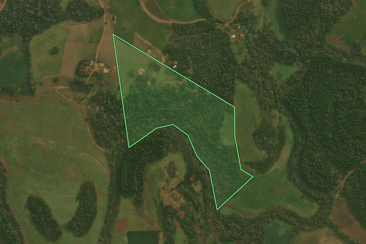 Imagem de satélite do imóvel rural em Condor (RS), com o contorno declarado no CAR desenhado por cima.