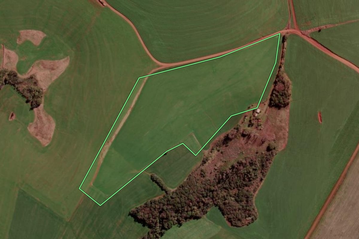 Imagem de satélite do imóvel rural em Condor (RS), com o contorno declarado no CAR desenhado por cima.