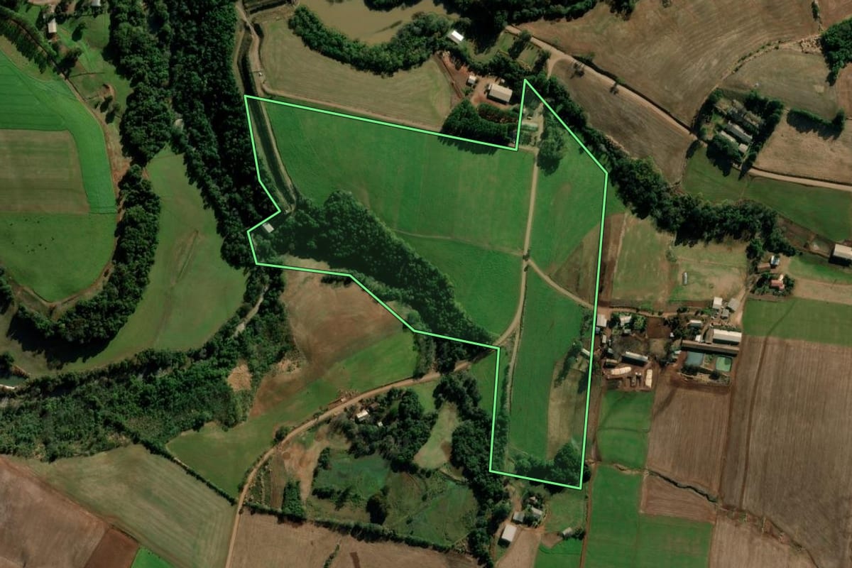 Imagem de satélite do imóvel rural em Condor (RS), com o contorno declarado no CAR desenhado por cima.