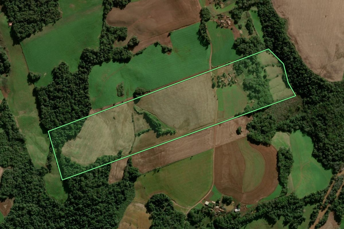 Imagem de satélite do imóvel rural em Condor (RS), com o contorno declarado no CAR desenhado por cima.