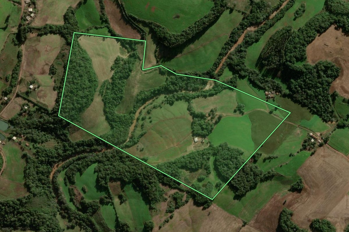 Imagem de satélite do imóvel rural em Condor (RS), com o contorno declarado no CAR desenhado por cima.