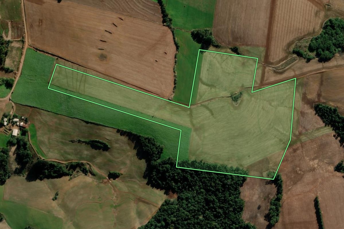 Imagem de satélite do imóvel rural em Condor (RS), com o contorno declarado no CAR desenhado por cima.
