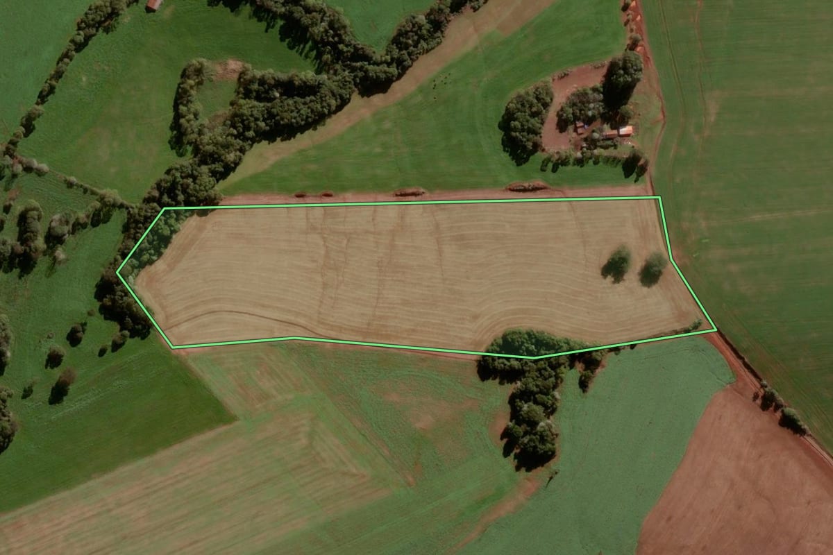Imagem de satélite do imóvel rural em Condor (RS), com o contorno declarado no CAR desenhado por cima.