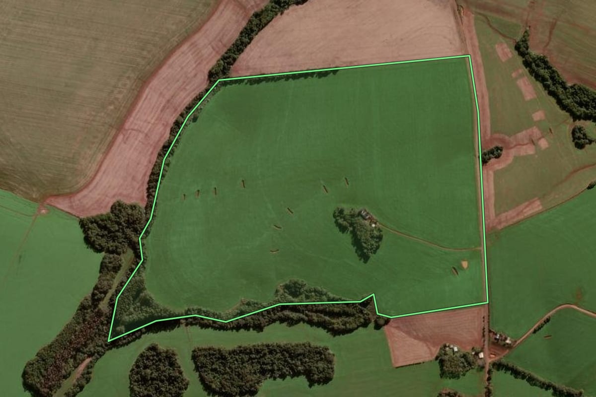 Imagem de satélite do imóvel rural em Condor (RS), com o contorno declarado no CAR desenhado por cima.