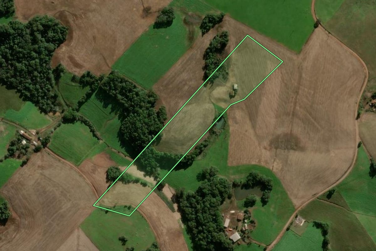 Imagem de satélite do imóvel rural em Condor (RS), com o contorno declarado no CAR desenhado por cima.