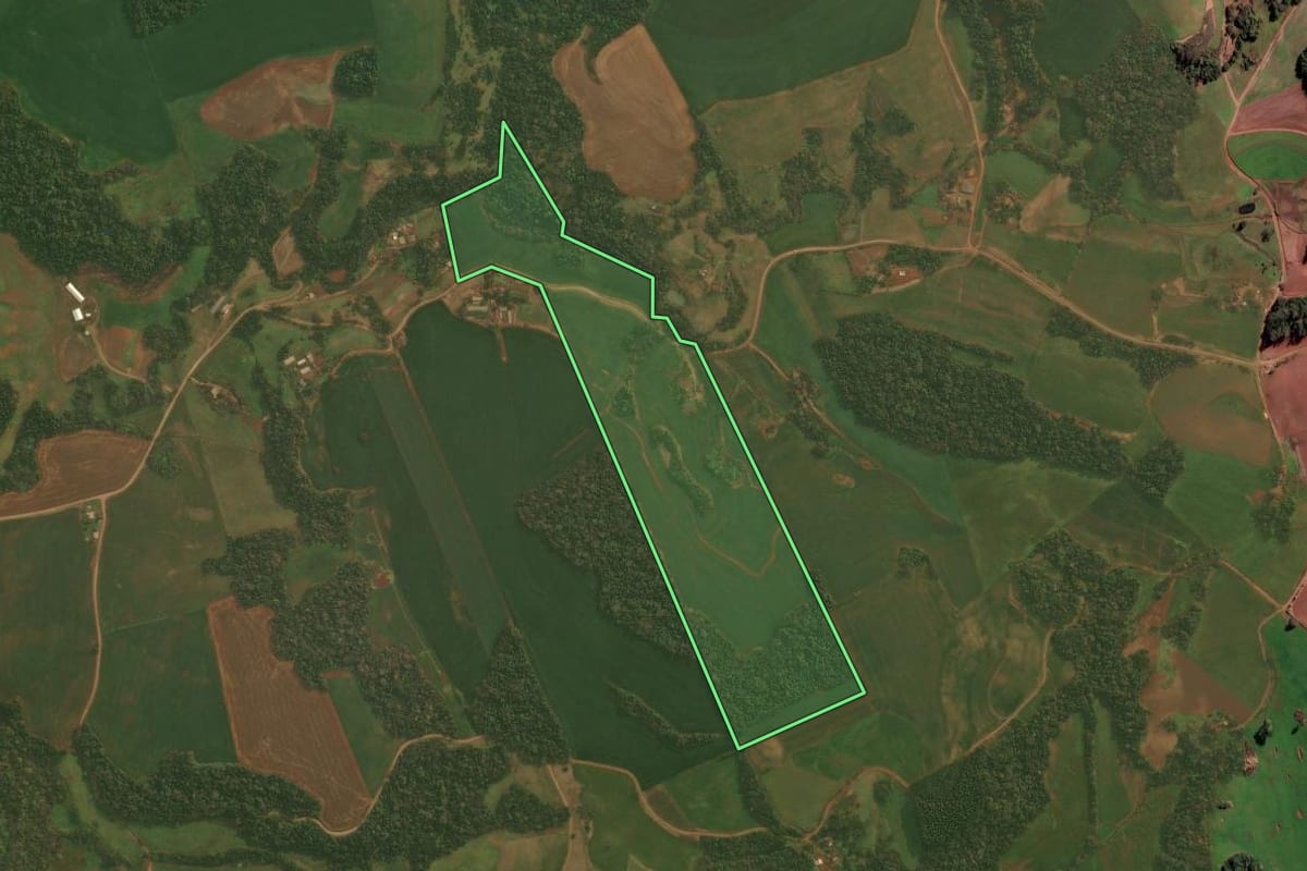Imagem de satélite do imóvel rural em Condor (RS), com o contorno declarado no CAR desenhado por cima.